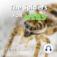The Spiders for Kids