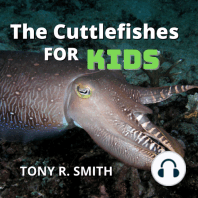 The Cuttlefishes for Kids
