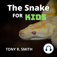 The Snake for Kids