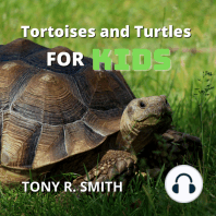 Tortoises and Turtles for Kids