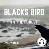 Black Bird in the Forest