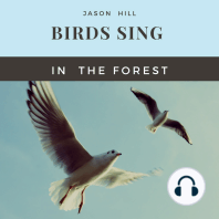 Birds Sing in the Forest