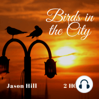 Birds in the City