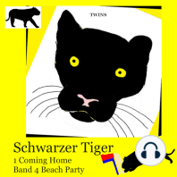 Schwarzer Tiger 1 Coming Home