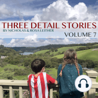 Three Detail Stories