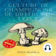 Culture De Champignons De Différents Types