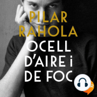 Ocell d'aire i de foc