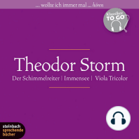 Theodor Storm – Drei ausgewählte Novellen