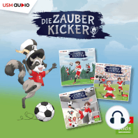 Die Zauberkicker, Hörbox 1-3