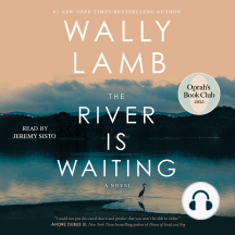The River Is Waiting (Oprah's Book Club)