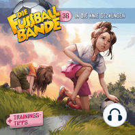Die Fussballbande, Folge 36