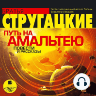 Путь на Амальтею