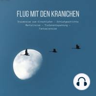 Flug mit den Kranichen