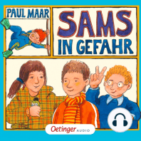 Das Sams 5. Sams in Gefahr