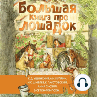 Большая книга про лошадок