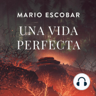 Una vida perfecta