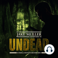 The Jake Muller Adventures