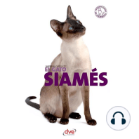 El gato siamés