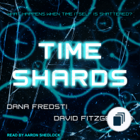 Time Shards