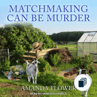 Amish Matchmaker Mysteries