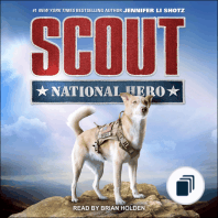 Scout