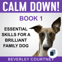 Essential Skills for a Brilliant Family Dog