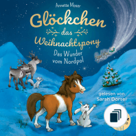 Glöckchen, das Weihnachtspony