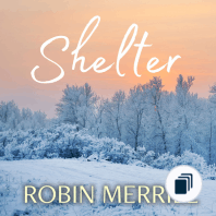 Shelter Christian Fiction Trilogy