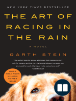 The Art of Racing in the Rain