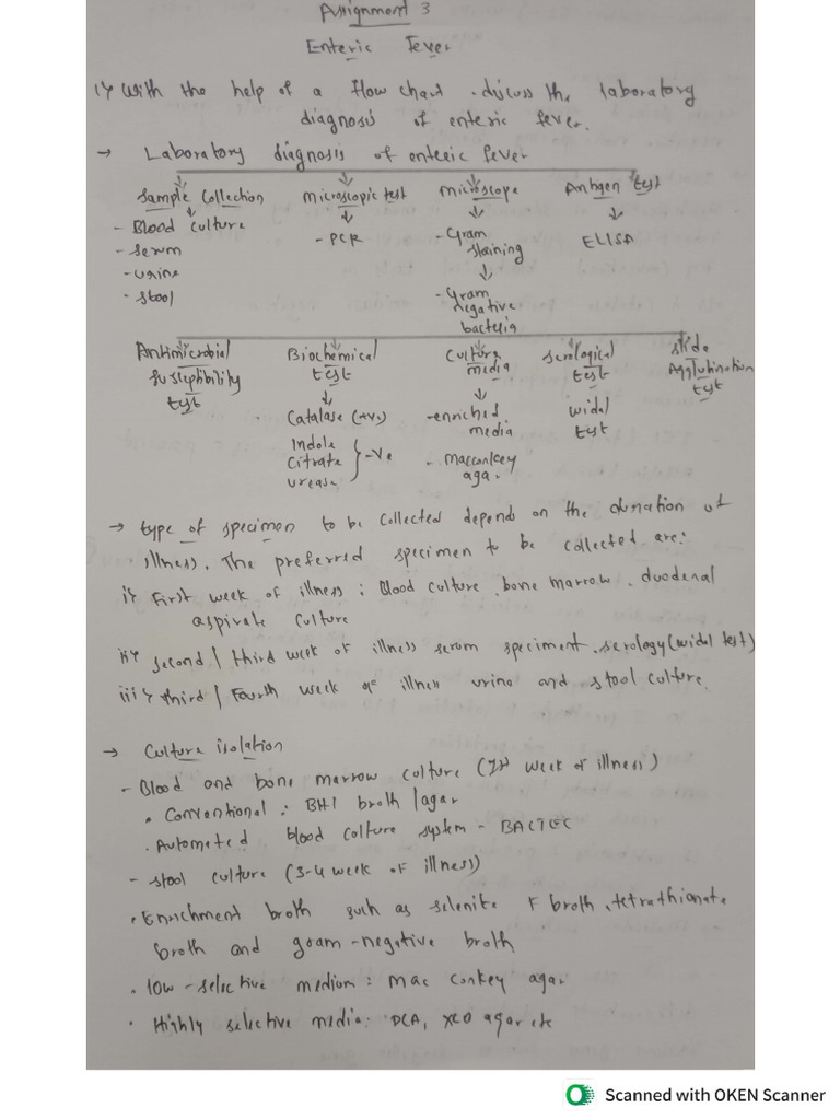 Likith N Roll No 58 Assignment 3 | PDF