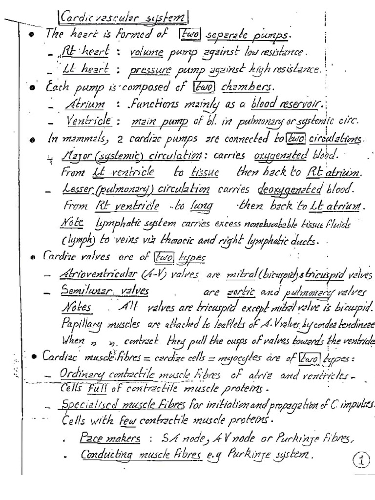 Cardio | PDF