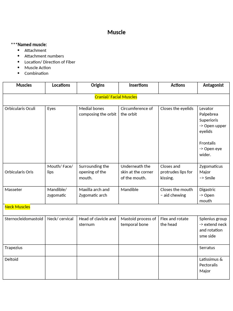 Muscles Table | PDF | Neck | Human Head And Neck