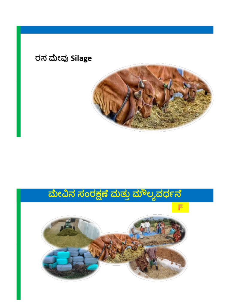 2-13 Silage Making | PDF