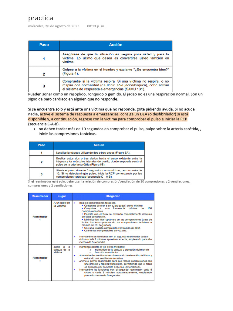 Practica | PDF