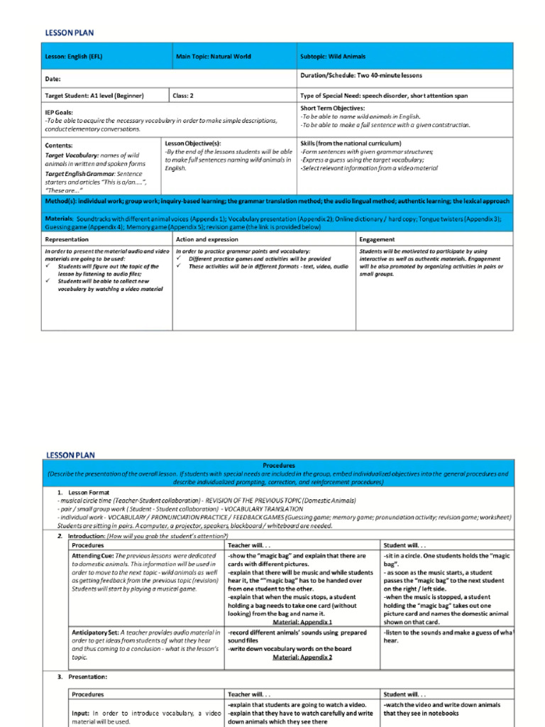 Udl Lesson Plan Example | PDF