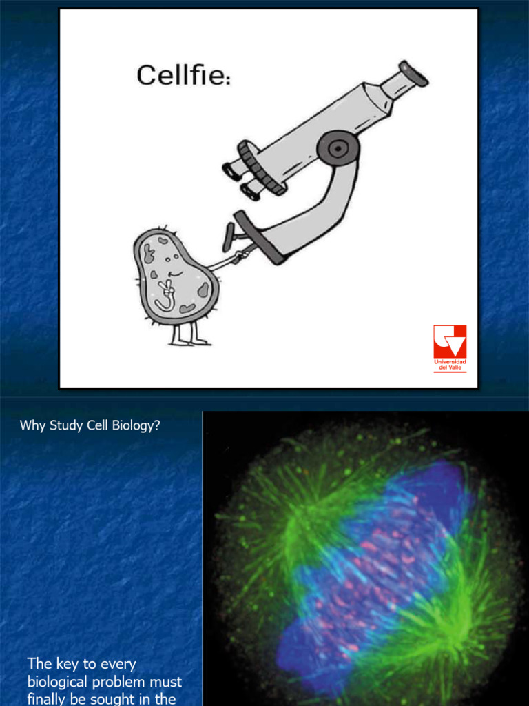 Teoria Celular MJSS | PDF | Membrana celular | Biología Celular)