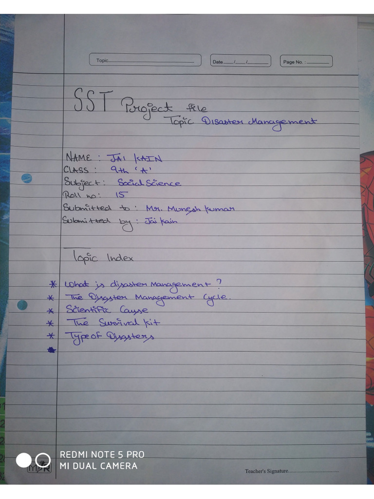 Project File On Disaster Management in SST For Viva | PDF
