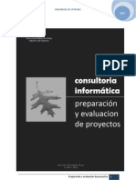 Consultoria Informatica