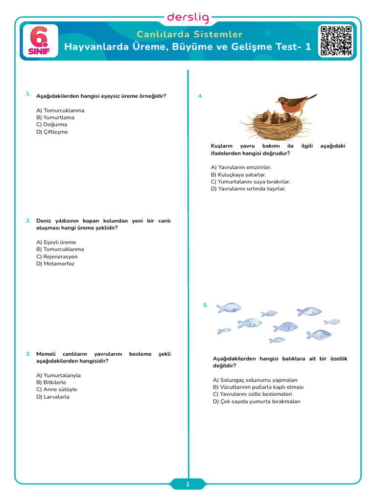 Hayvanlarda Ureme Buyume Ve Gelisme Test 1 | PDF