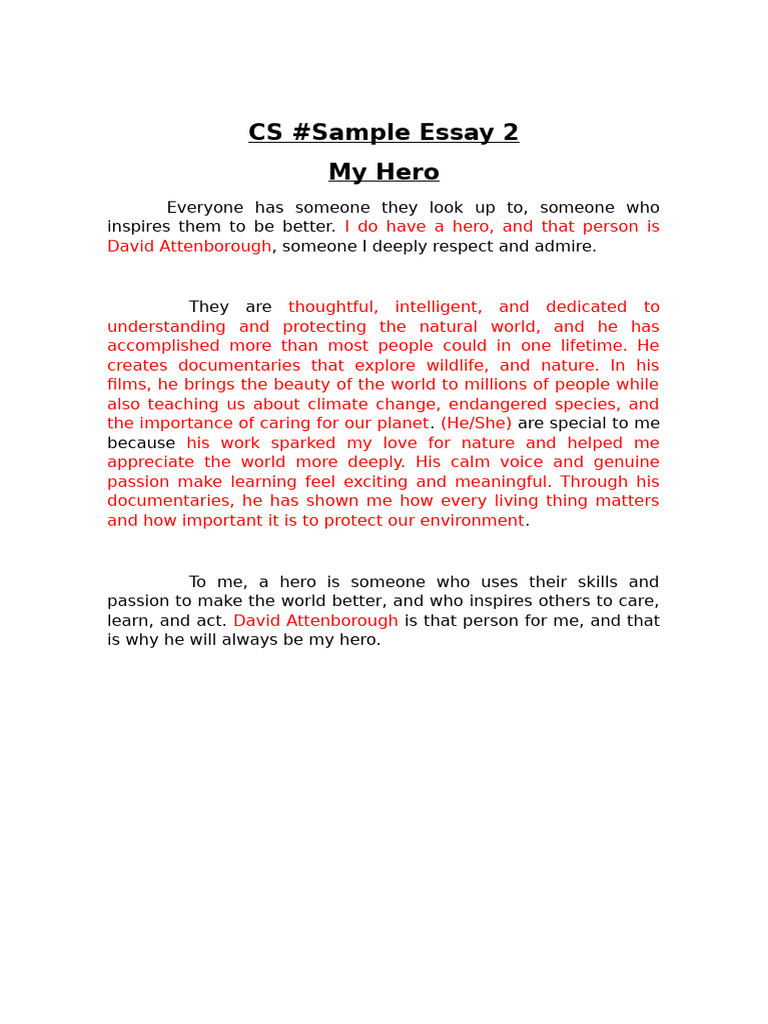 CS Sample Essay 2 - My Hero | PDF