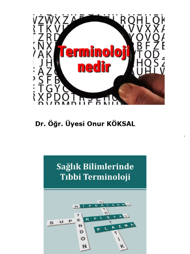 1-Terminolojiye Giriş | PDF
