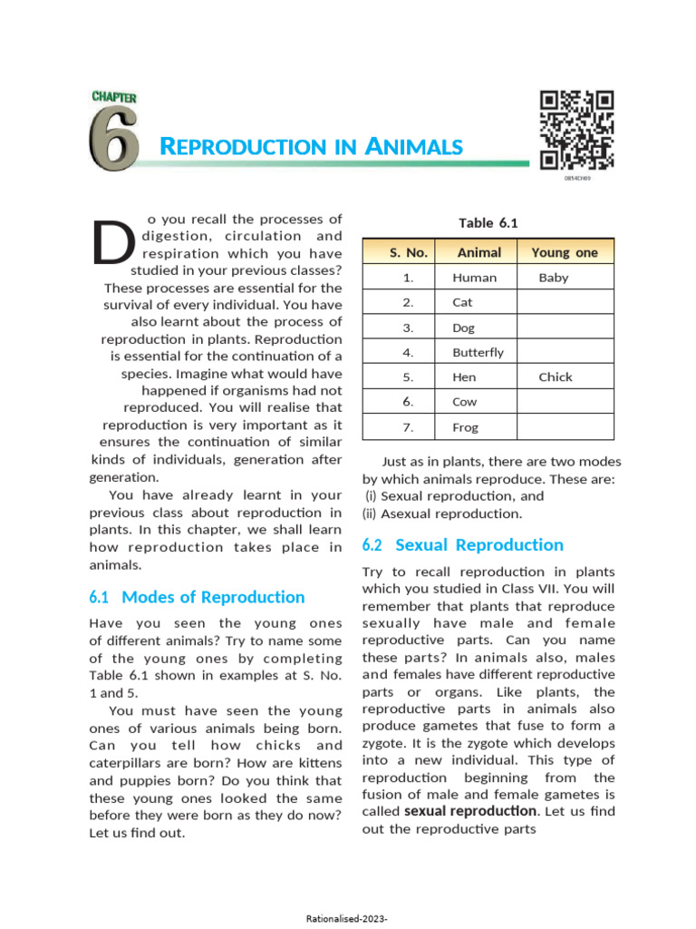 Ncert Textbook For Class 8 Science Chapter 6 | PDF | Fertilisation ...