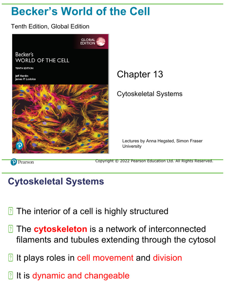 Chapter13 (2025) | PDF