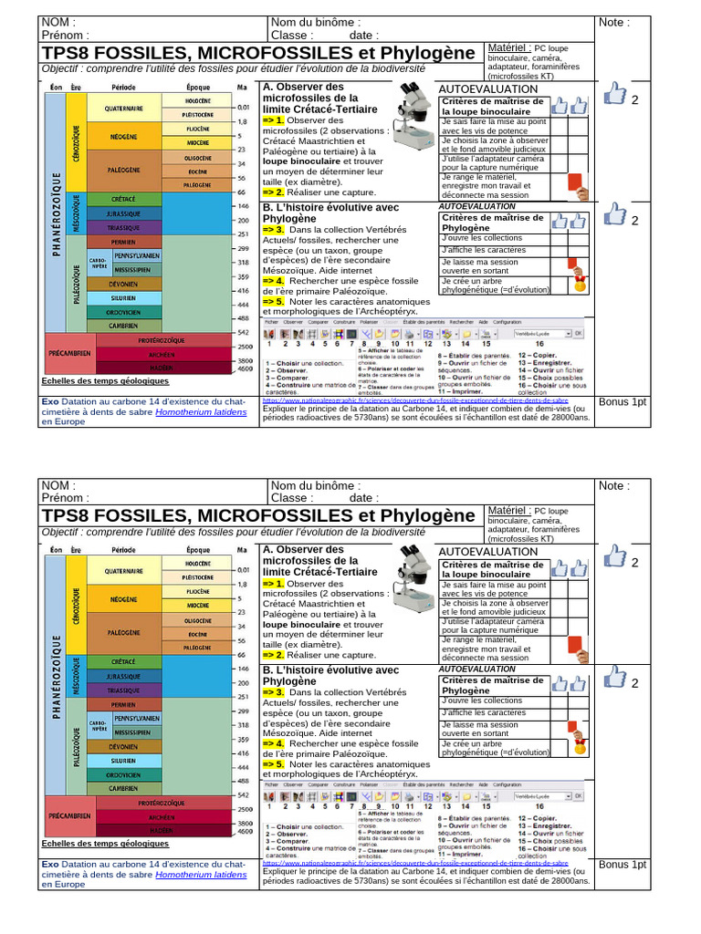 TPS08 Fossiles Microfossiles Phylogène | PDF | Fossile | Évolution