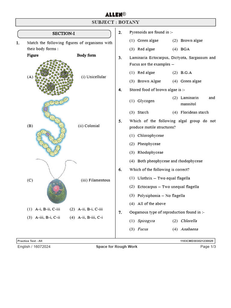 Algae Test | PDF | Algae | Organisms