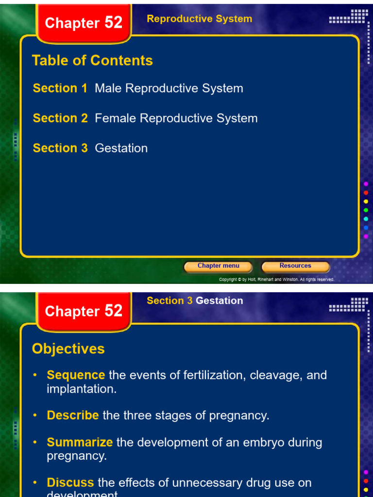 Male Reproductive System and Main Organs | PDF | Fertilisation | Pregnancy
