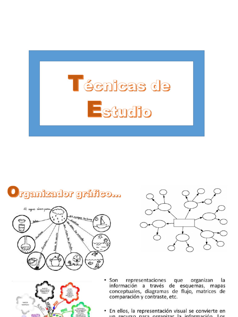 Varias TÉCNICAS de Estudio-5581 | PDF
