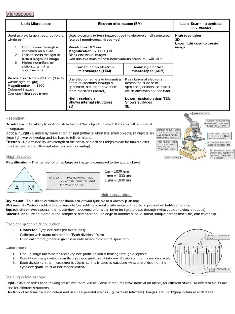 Module 2 | PDF