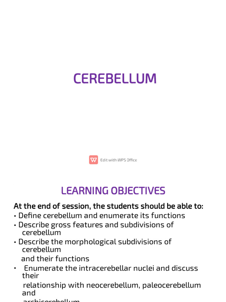 Anatomy of Cerebellum | PDF | Cerebellum | Neuroanatomy