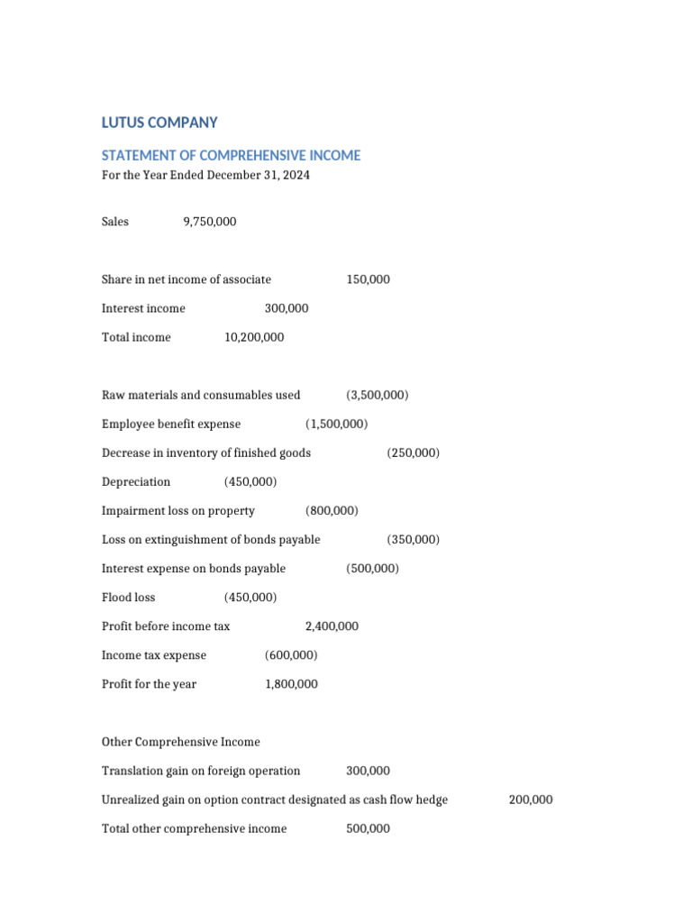 Lutus Statement of Comprehensive Income 2024 | PDF